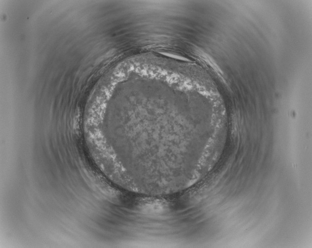 X0000087370073200705111721