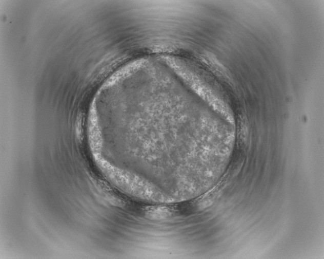 X0000087370074200705111721