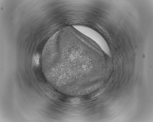 X0000087370075200705111721