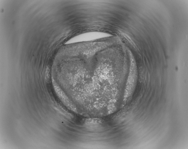 X0000087370077200705111721