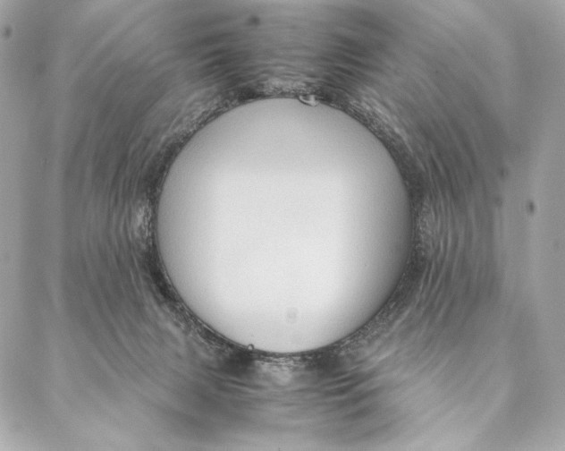 X0000087370079200705111721