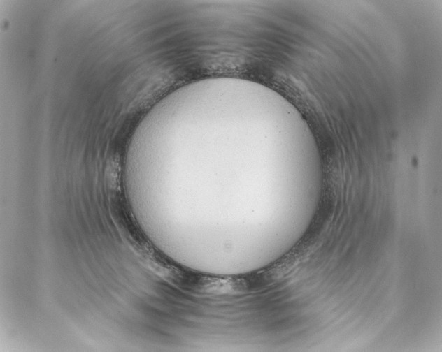 X0000087370083200705111721