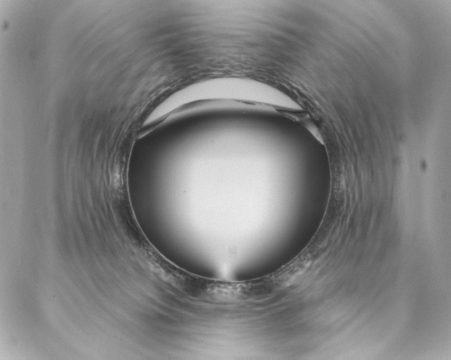 X0000087370084200705111721