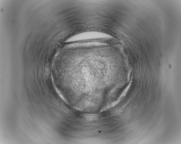 X0000087370085200705111721