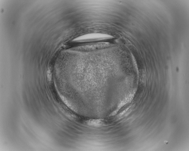 X0000087370086200705111721