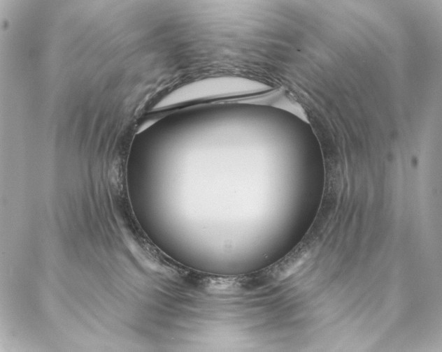 X0000087370088200705111721