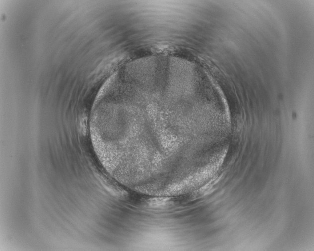 X0000087370090200705111721