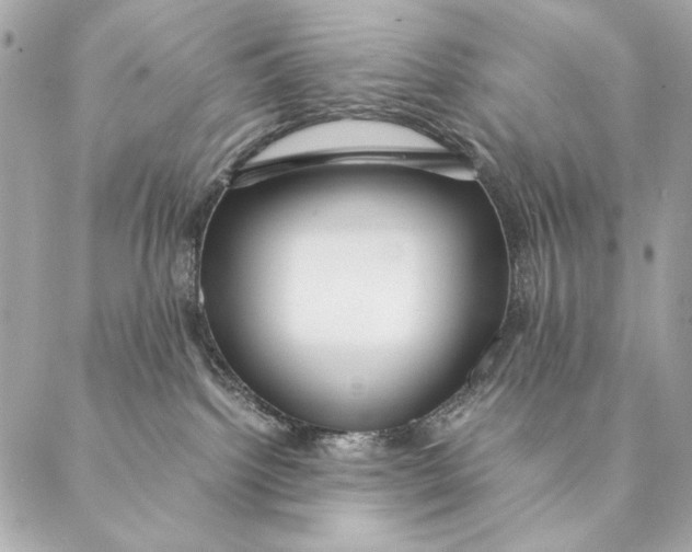 X0000087370092200705111721