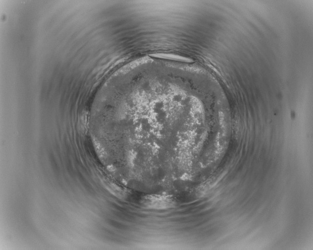 X0000087370093200705111721