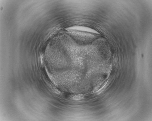 X0000087370094200705111721