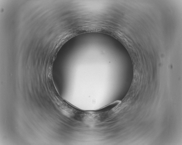 X0000087370096200705111721