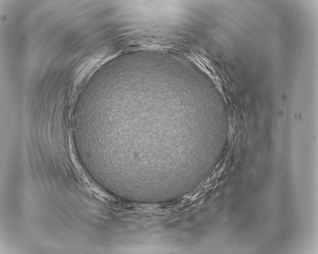 X0000087370097200705111720