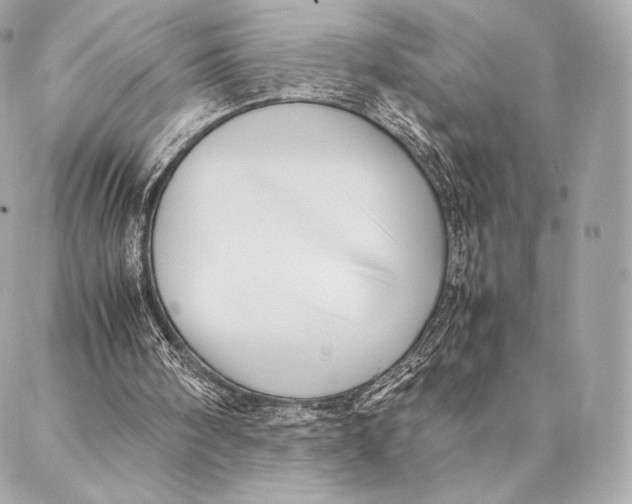 X0000087370098200705111720