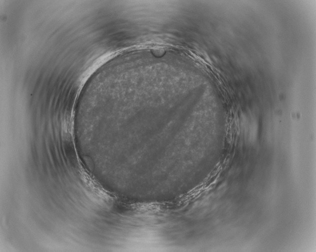 X0000087370100200705111720