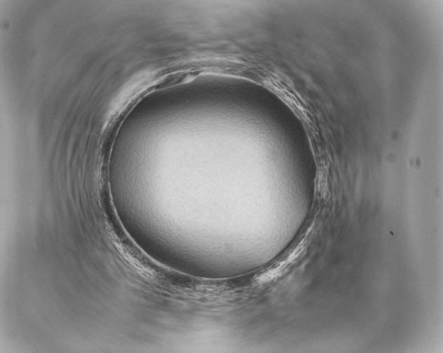 X0000087370101200705111720