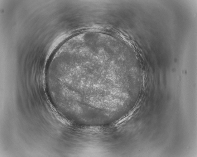 X0000087370102200705111720