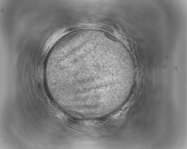 X0000087370103200705111720