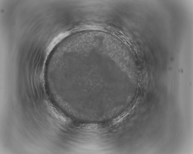 X0000087370104200705111720