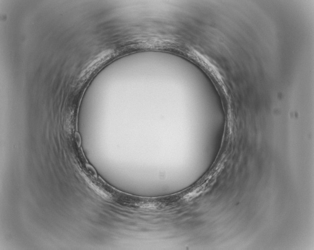 X0000087370105200705111720