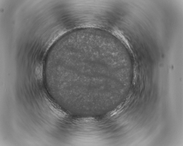 X0000087370108200705111720