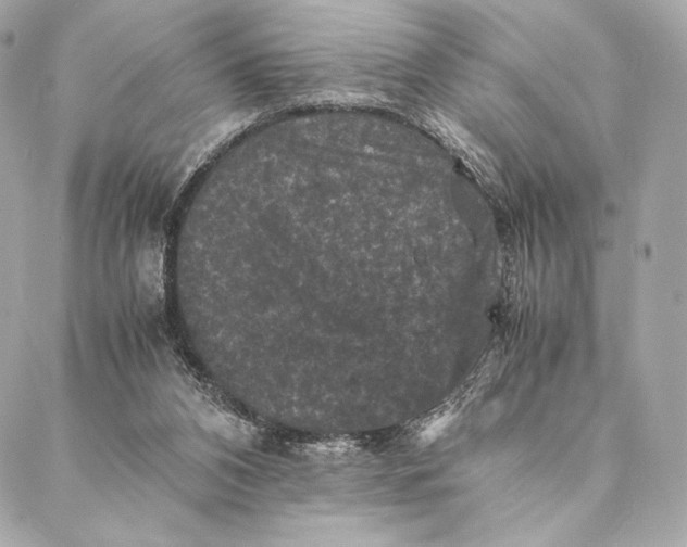 X0000087370112200705111720