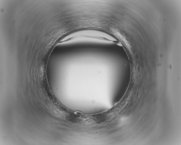 X0000087370113200705111720