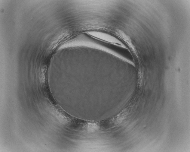 X0000087370114200705111720