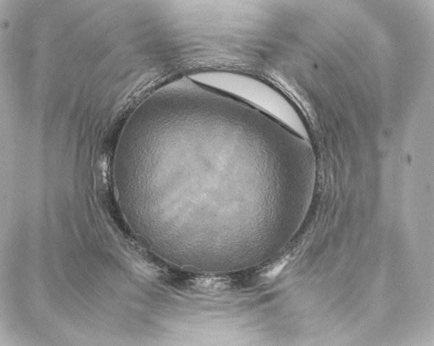 X0000087370117200705111720