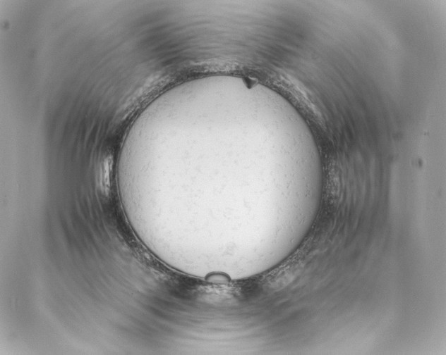 X0000087370118200705111720