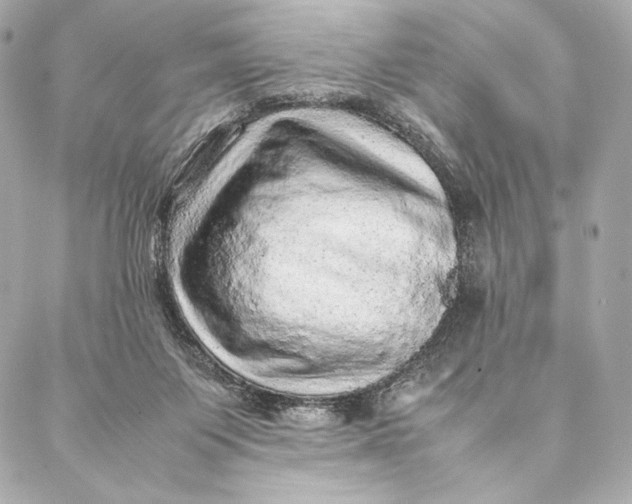 X0000087370119200705111720