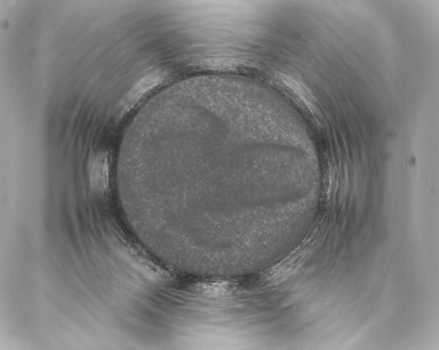 X0000087370120200705111720