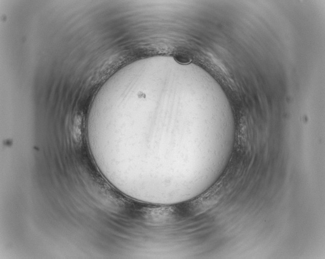 X0000087370122200705111720