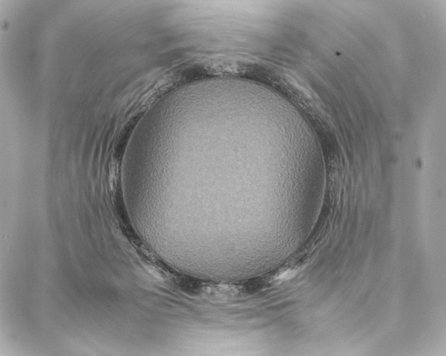 X0000087370125200705111720