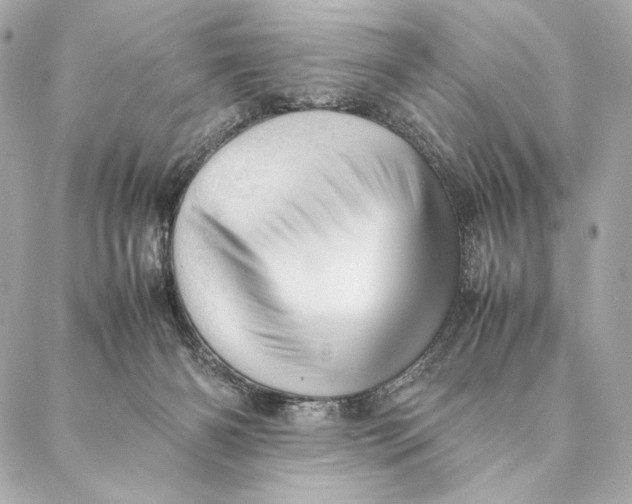 X0000087370126200705111720