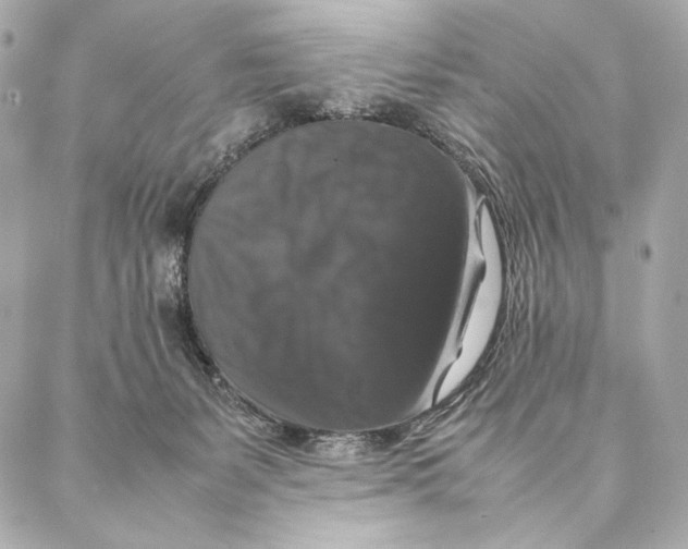 X0000087370127200705111720