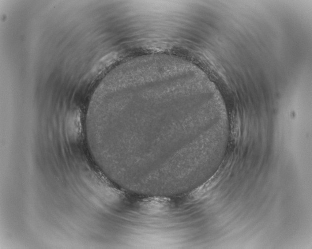 X0000087370128200705111720