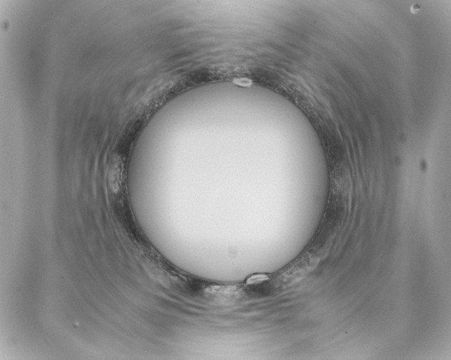 X0000087370133200705111720