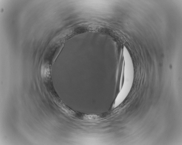 X0000087370137200705111720