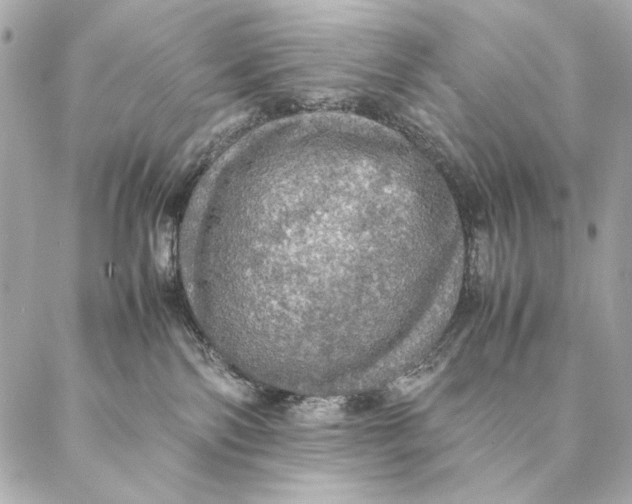 X0000087370138200705111720