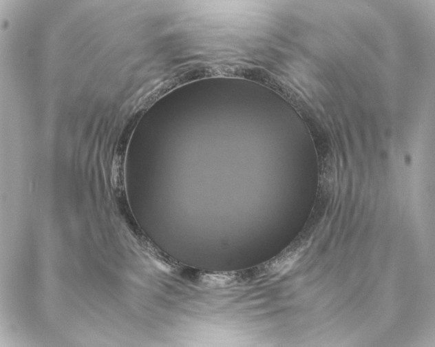 X0000087370139200705111720