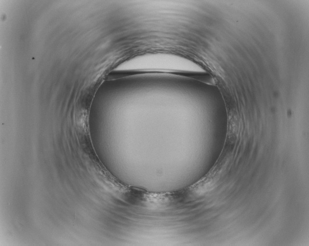 X0000087370141200705111720