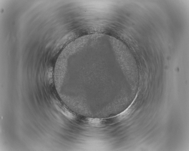 X0000087370144200705111720