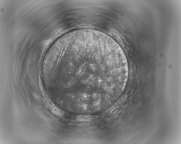 X0000087370145200705111719