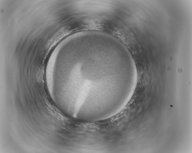 X0000087370146200705111719