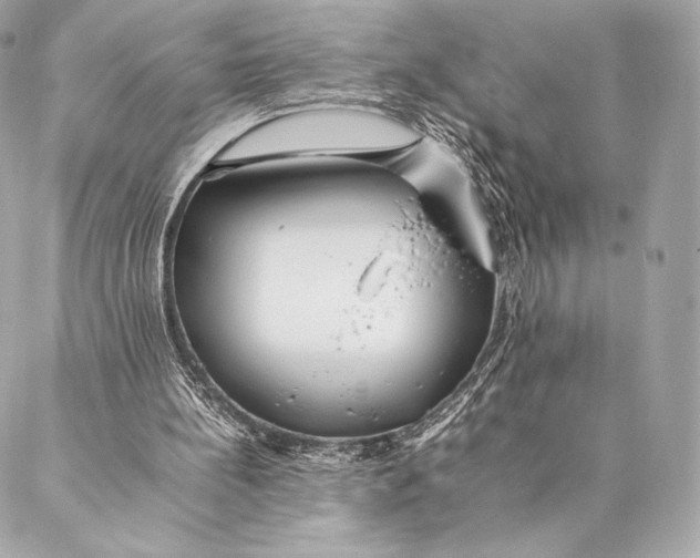 X0000087370148200705111719