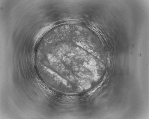 X0000087370149200705111719