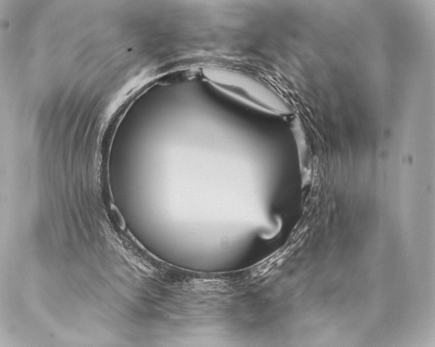 X0000087370150200705111719