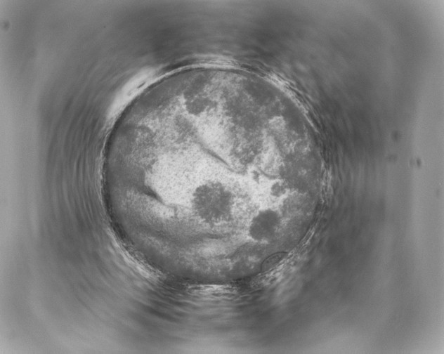 X0000087370151200705111719