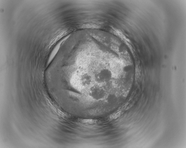 X0000087370153200705111719