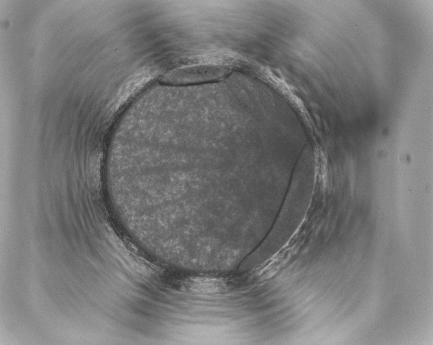 X0000087370154200705111719